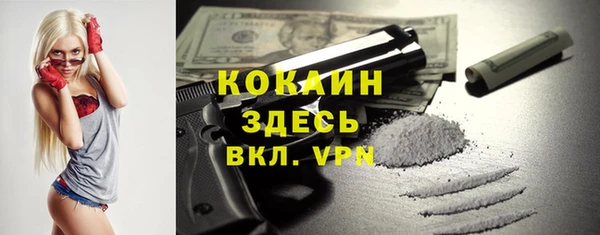 ГАЛЛЮЦИНОГЕННЫЕ ГРИБЫ Аркадак
