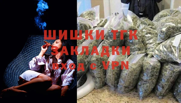 ГАЛЛЮЦИНОГЕННЫЕ ГРИБЫ Аркадак