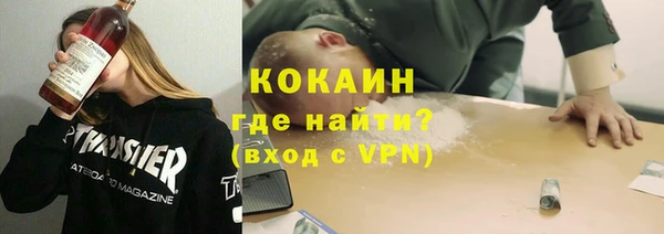 ГАЛЛЮЦИНОГЕННЫЕ ГРИБЫ Аркадак