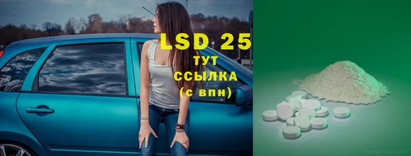 ГАЛЛЮЦИНОГЕННЫЕ ГРИБЫ Аркадак